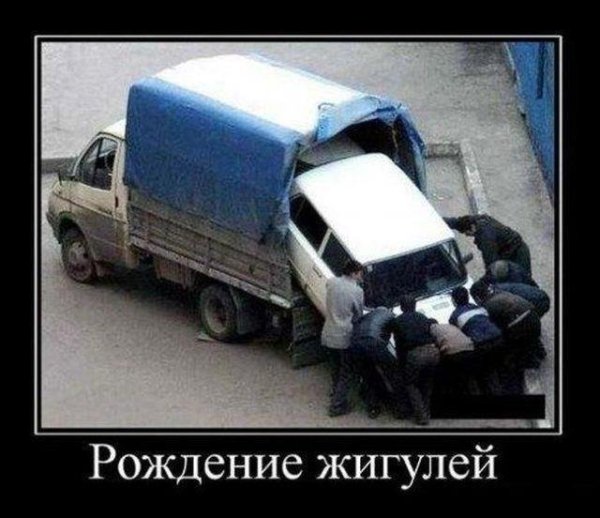 Мемы и юмор